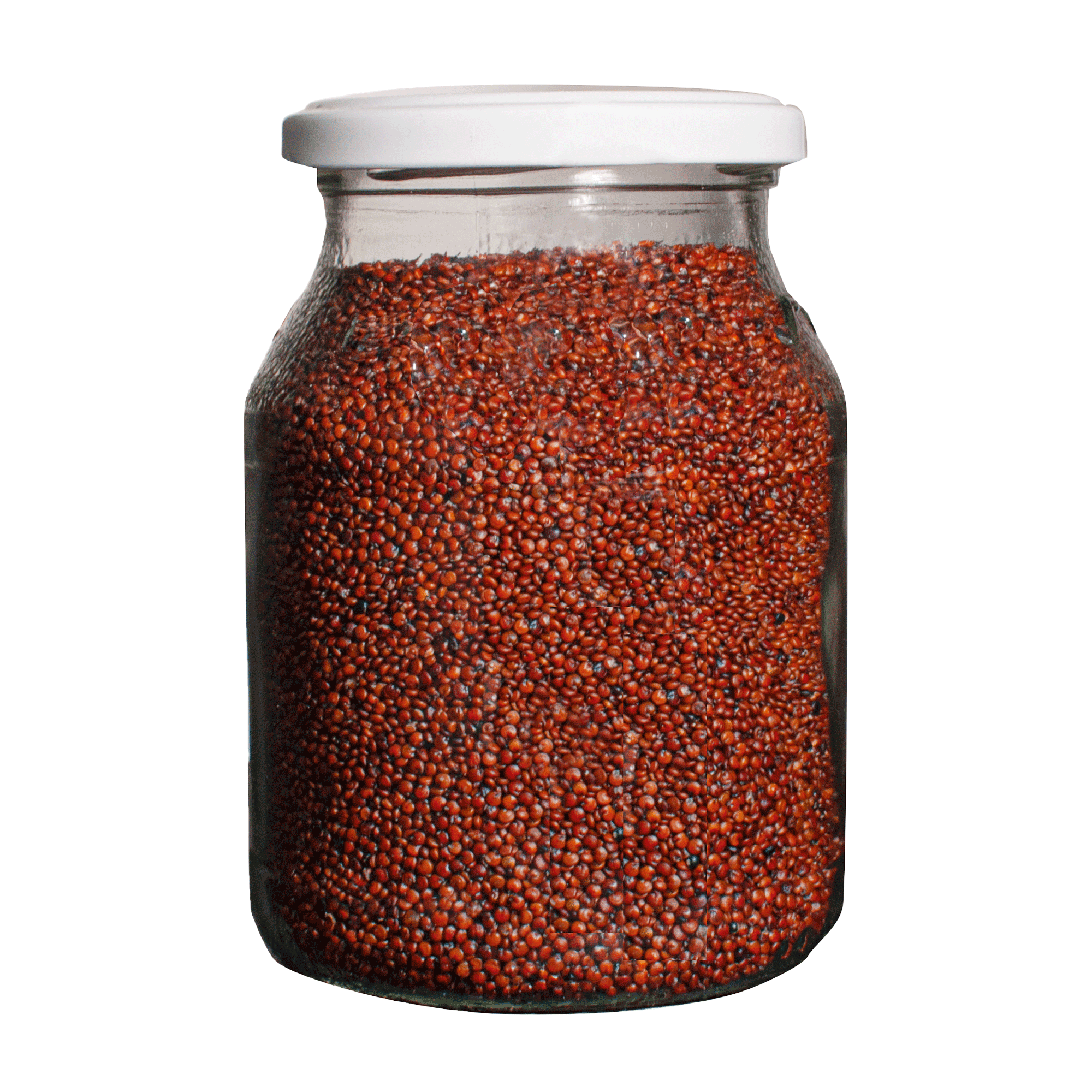 Quinoa_rot_groß