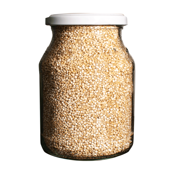 Quinoa_groß_weiss