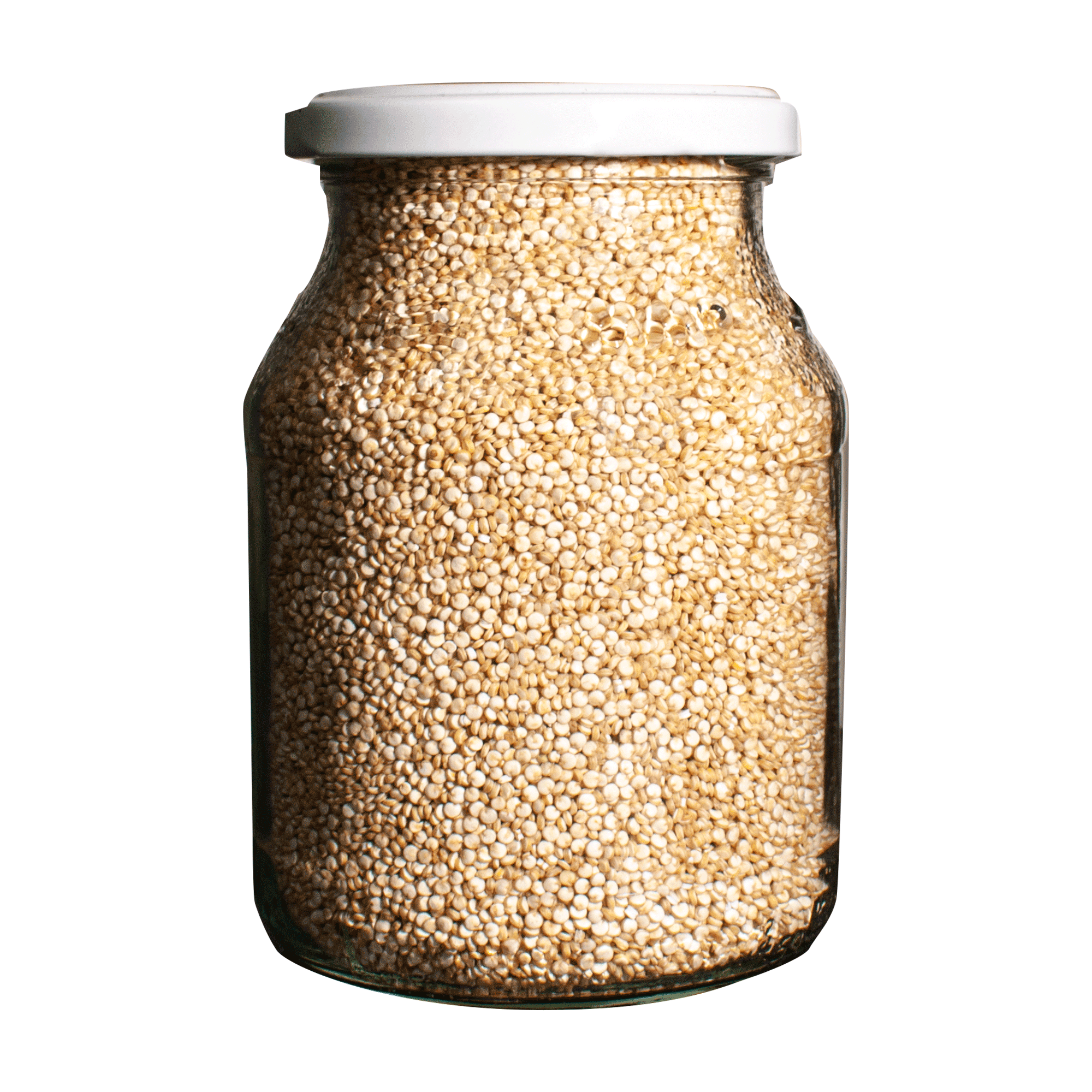 Quinoa_groß_weiss