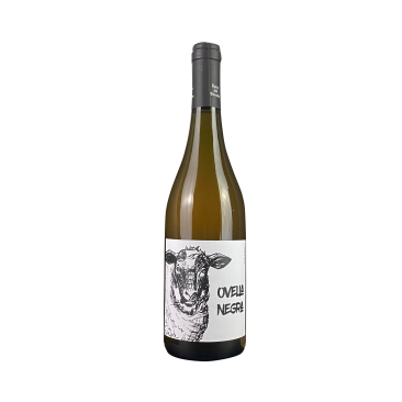 Naturwein Ovella Negra 2024, Mas Candi, Penedés, Spanien