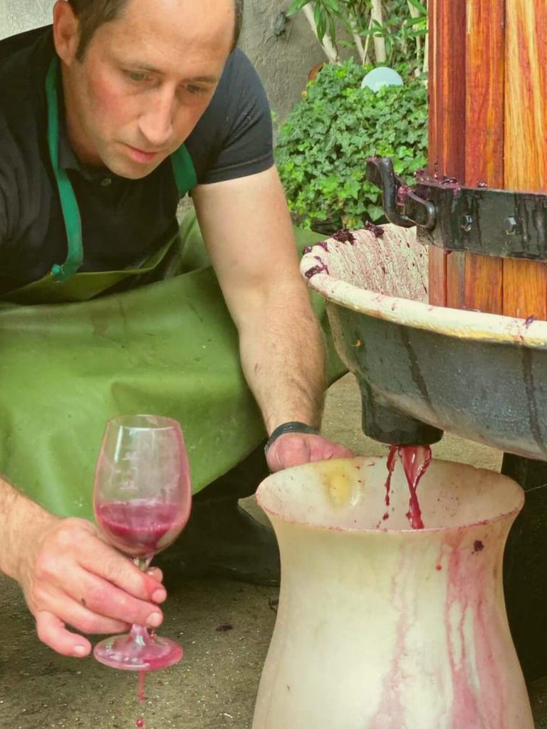 Carl_Koch_Winzer_Augustin_Nuvoa_-768x1024