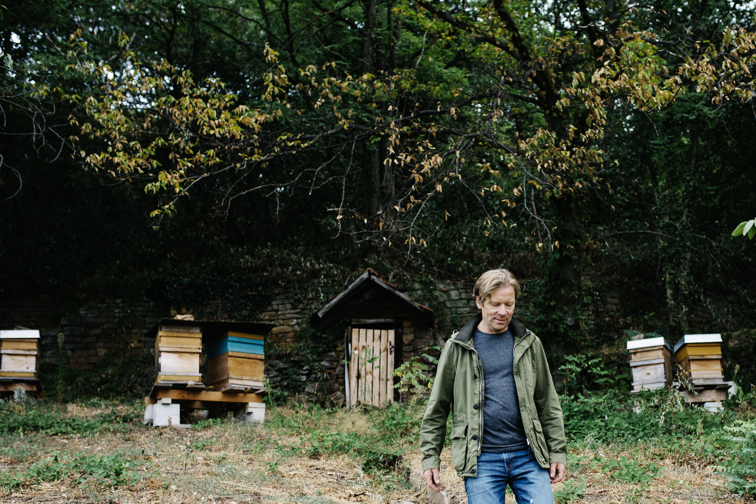 andres-wein-Bienen-in-der-Maeushoehle