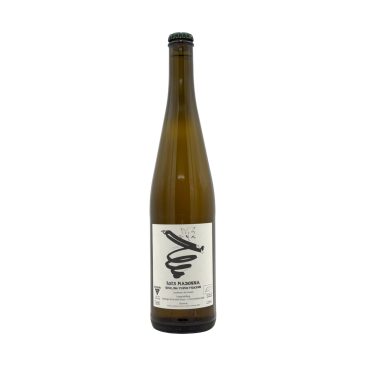 Biowein Riesling "Madonna" 2023 Weingut Rudolf & Rita Trossen Mosel Deutschland