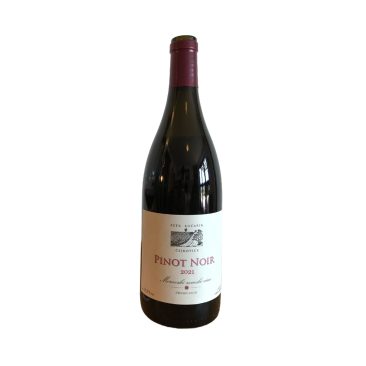 Pinot Noir Novosady 2021  0,75 L Kocarik Mähren Tschechien