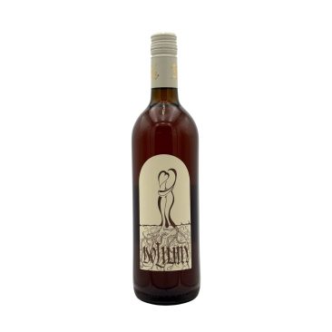 Naturwein Chardonnay 2025 Zorjan Steiermark Slowenien