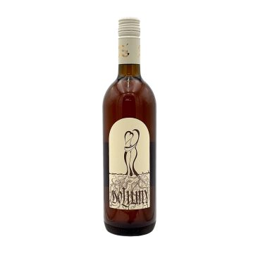 Naturwein Laski Rizling 2025 Zorjan Steiermark Slowenien