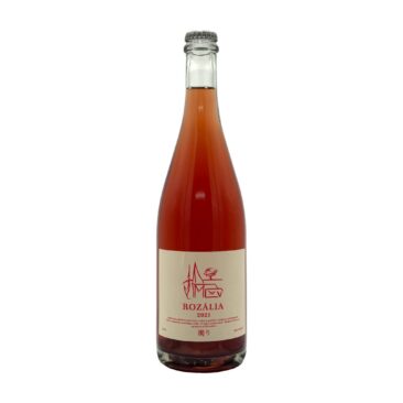 PetNat Rozalia 2021 Weingut Strekov 1075 Nitriansky Kraj Slovakei