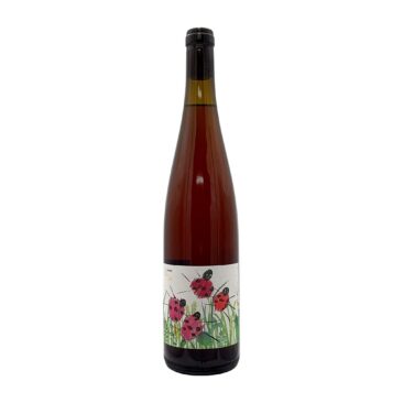 Sabrina Rose 2022  BIO H.P. Harrer Neusiedler See Österreich