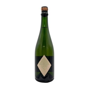 Veltlin Sauvignon Weingut Punkista Mähren Tschechien